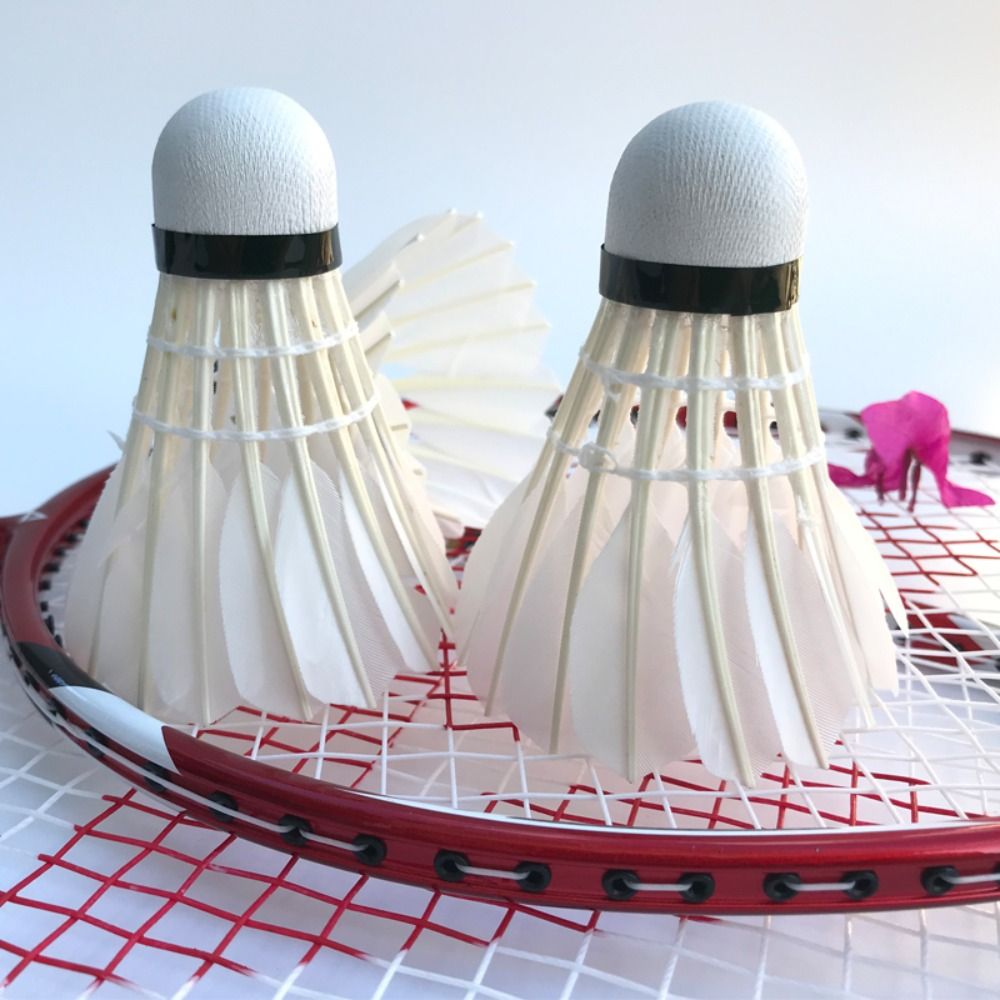 3/6/12 шт. новый белый волан д – обзор и цена Feather Shuttlecock